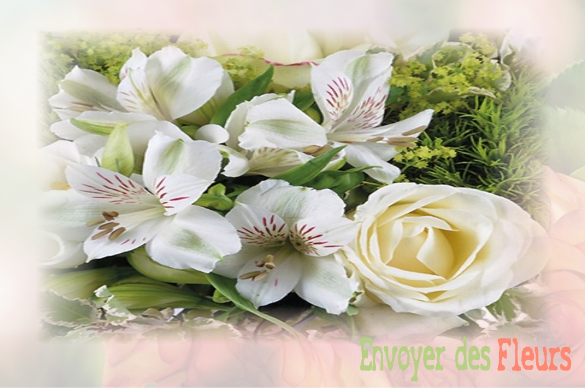 envoyer des fleurs à à MENETREOL-SOUS-SANCERRE